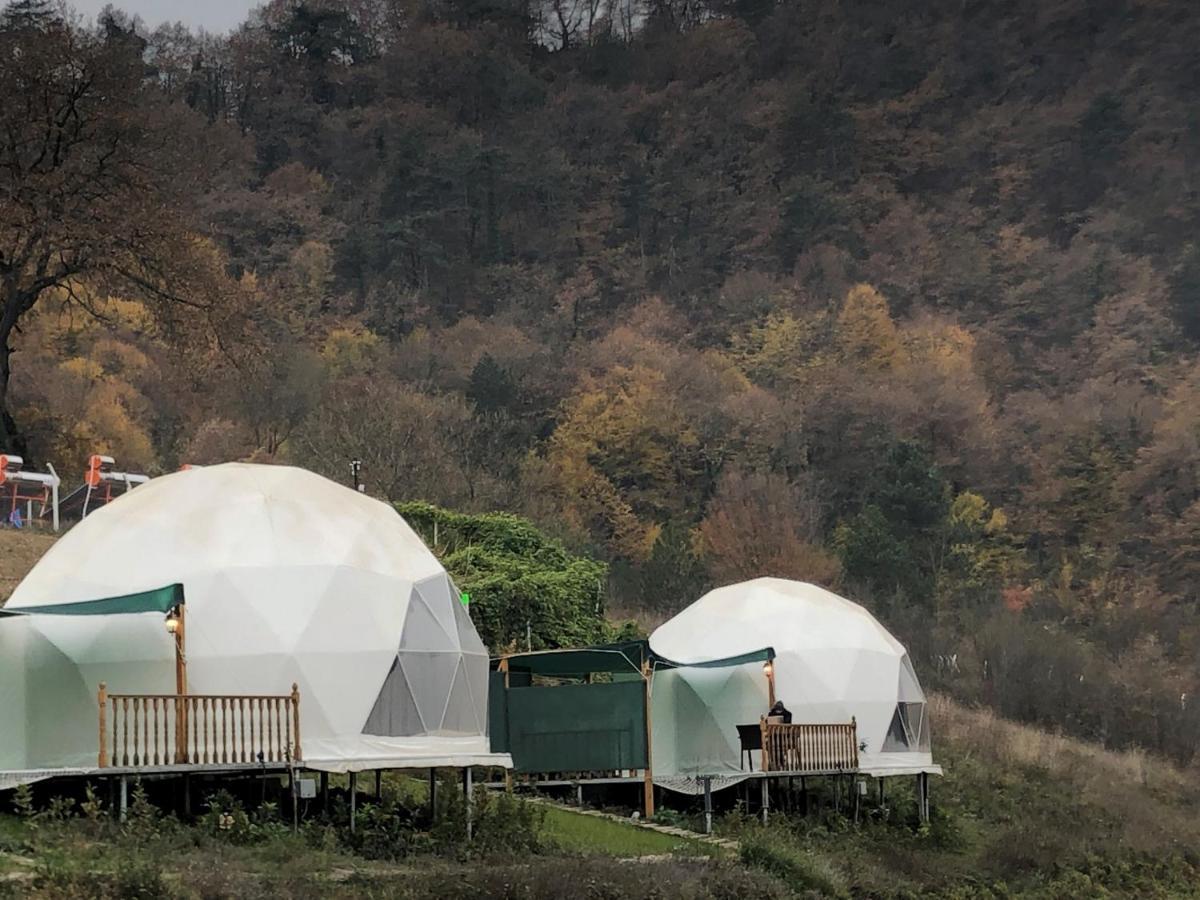 Dengekoru Wildlife & Glamping Hotel Mudurnu Exterior photo