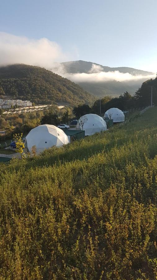 Dengekoru Wildlife & Glamping Hotel Mudurnu Exterior photo